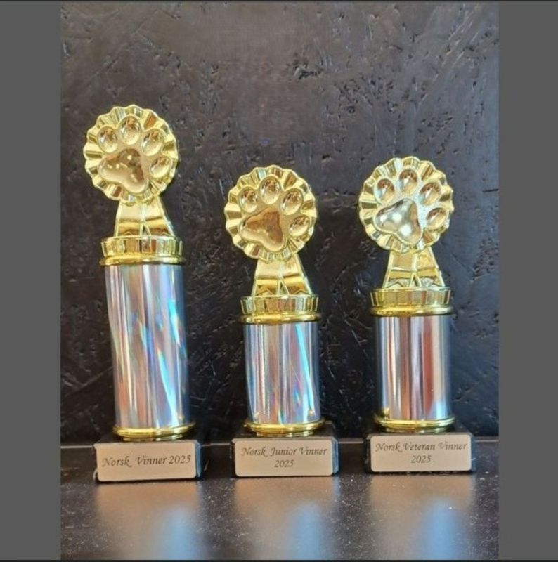 Pokal Norsk vinner 2025