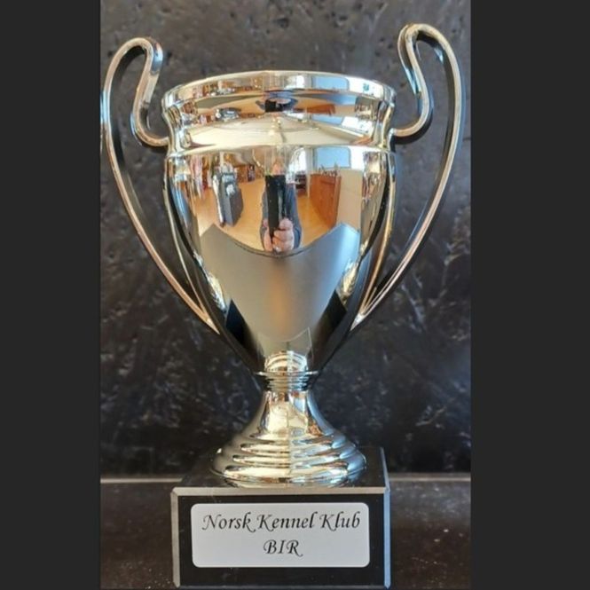 Hovedbilde Pokal BIR